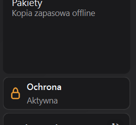 Pasek Ochrona w oknie Ustawienia
